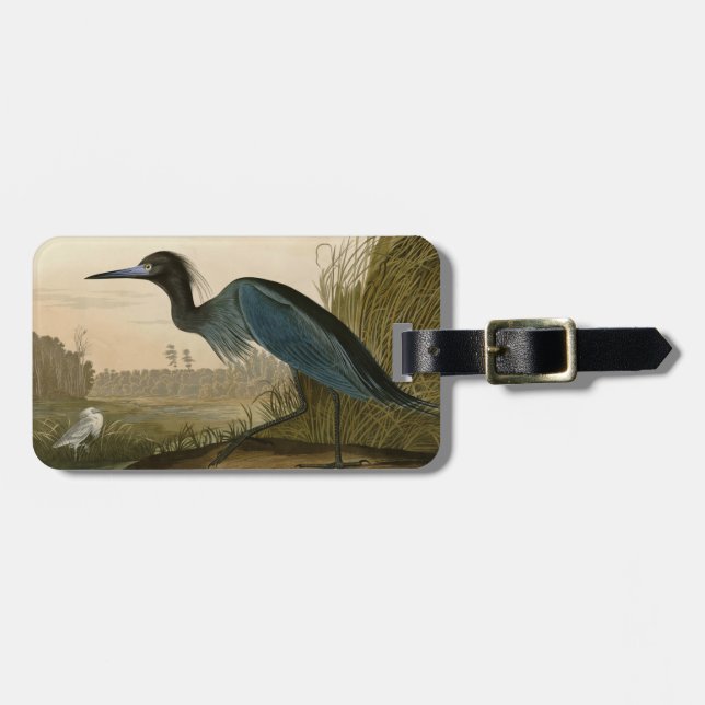 Blue Crane Heron Audubon Painting Bagagebricka (Horisontell Framsida)