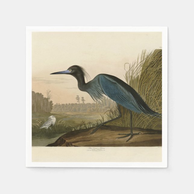 Blue Crane Heron Audubon Painting Pappersservett (Framsidan)