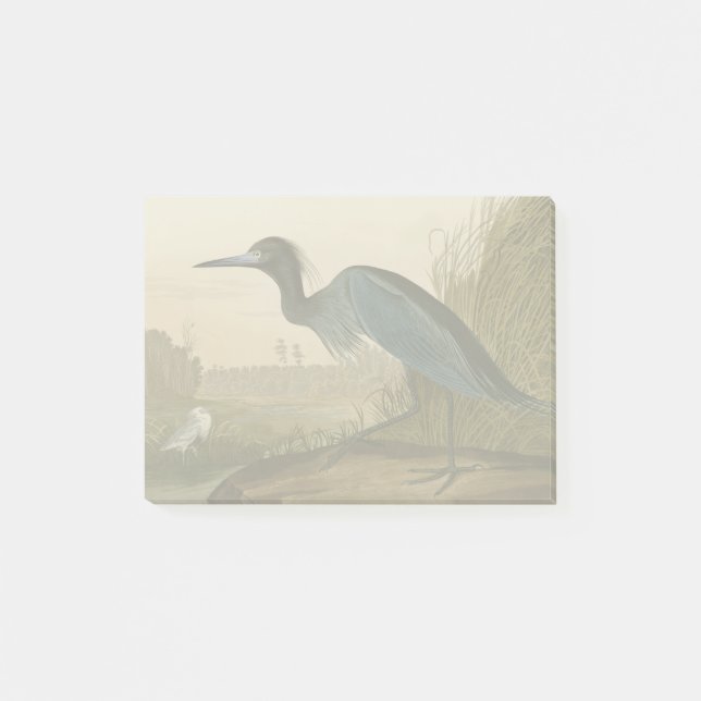 Blue Crane Heron Audubon Painting Post-it Block (Framsida)