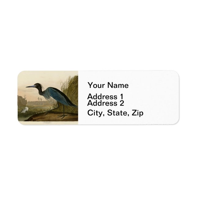 Blue Crane Heron Audubon Painting Returadress Etikett (Framsidan)