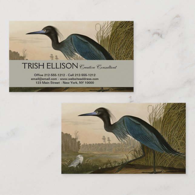 Blue Crane Heron Audubon Painting Visitkort (Fram/baksida)