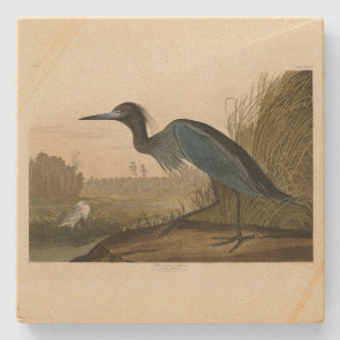 Blue Crane, Heron, från Audubon's Birds of America Stenunderlägg