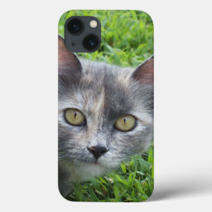 Blue Cream - Tortie Kattunge iPad Case