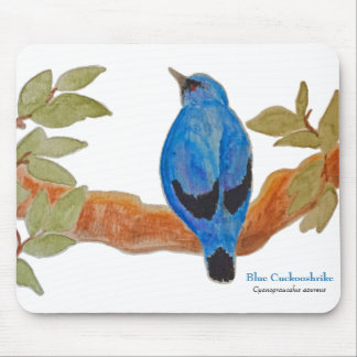 Blue Cuckoshrike Watercolor Bird Musmatta