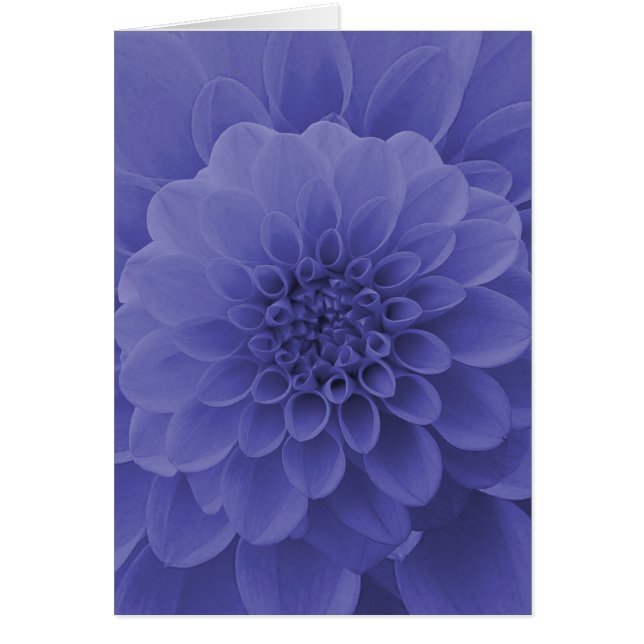 Blue Dahlia Hälsningskort (Framsidan)