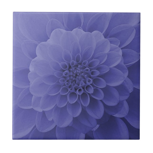 Blue Dahlia Kakelplatta (Framsidan)