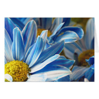Blue Daises #2 Hälsningskort
