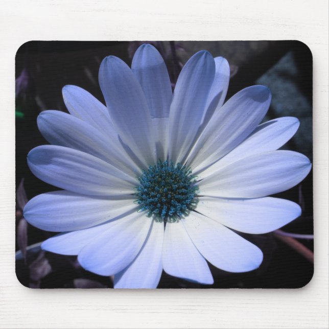Blue Daisy Flower Mousepad Musmatta (Framsidan)