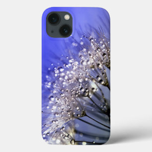 Blue Dandelion