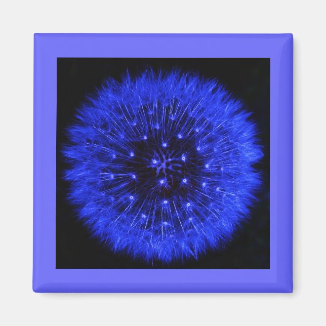 Blue Dandelion Puff Design Magnet (Framsidan)