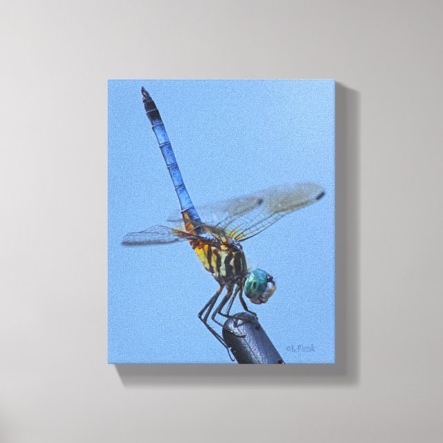 Blue Dasher Dragonfly i Obelisk Posture Canvastryck (Framsida)