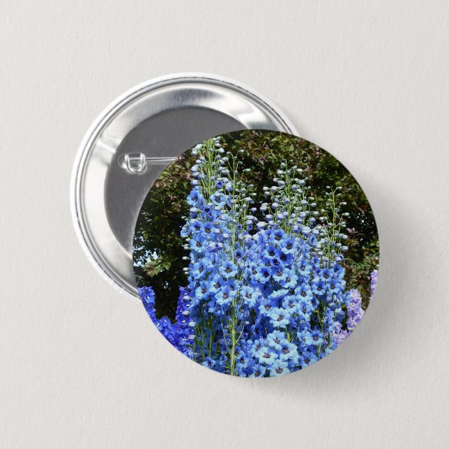Blue Delphinium Blommigt Flowers Garden Nature Knapp (Framsida & baksida)