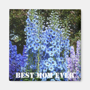 Blue Delphinium Blommigt Flowers Garden Nature Mag Magnet