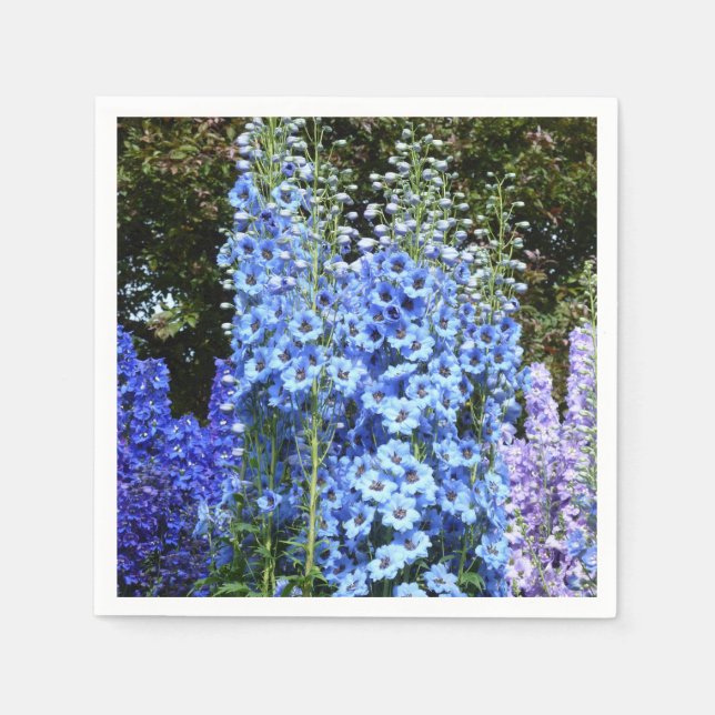 Blue Delphinium Blommigt Flowers Garden Nature Pappersservett (Framsidan)