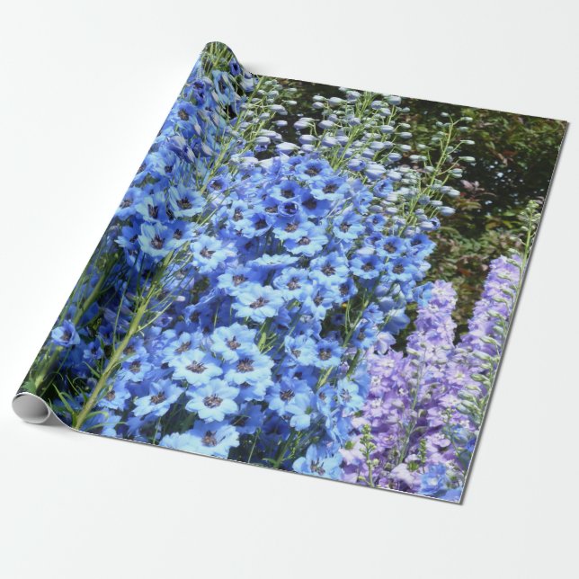 Blue Delphinium Blommigt Flowers Garden Nature Presentpapper (Utrullad)