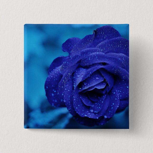Blue DewDrop Ro Knapp (Framsida)