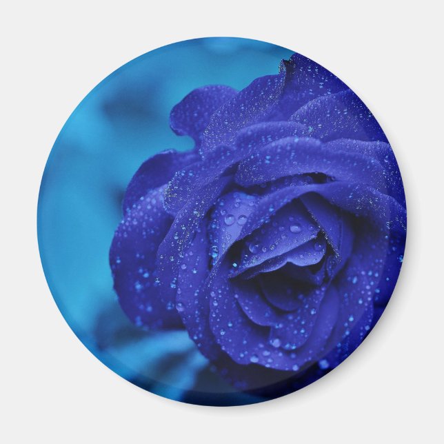 Blue DewDrop Ro Magnet (Framsidan)