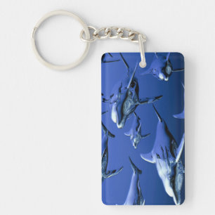 Blue Dolphin