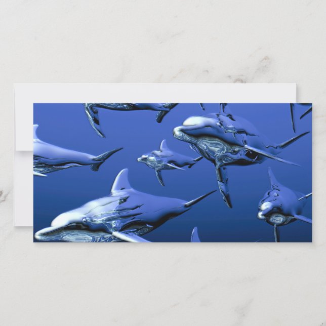 Blue Dolphin (Framsida)