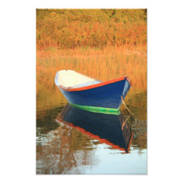 Blue Dory Fototryck
