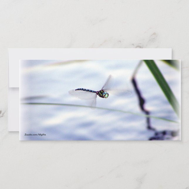 Blue Dragonfly (Framsida)