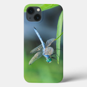 Blue Dragonfly iPad eller Telefonväska