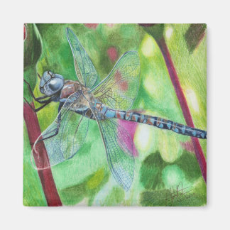 Blue Dragonfly Magnet
