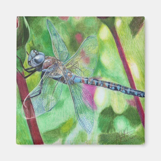 Blue Dragonfly Magnet (Framsidan)