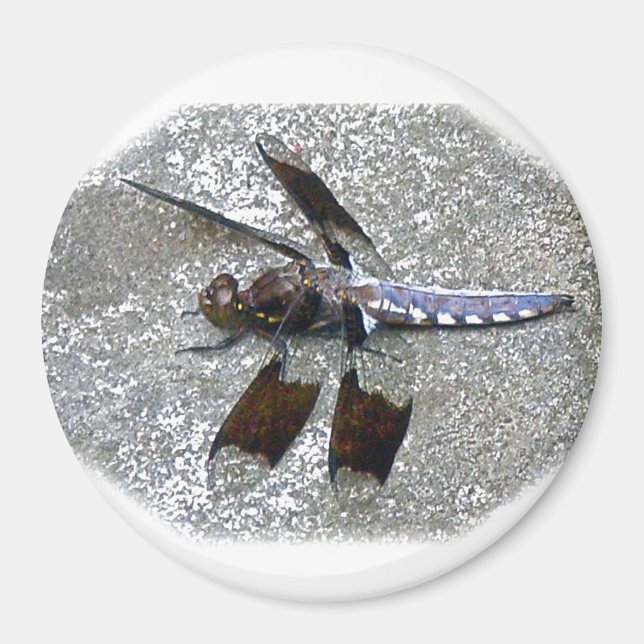 Blue Dragonfly Magnet (Framsidan)