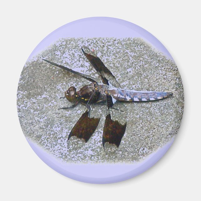 Blue Dragonfly Magnet (Framsidan)
