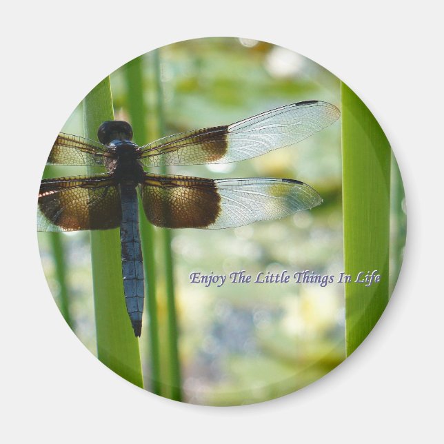 Blue Dragonfly Magnet (Framsidan)
