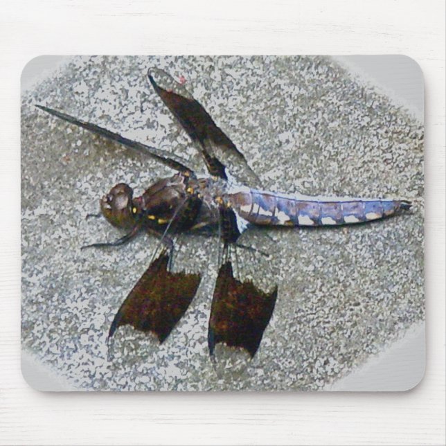 Blue Dragonfly Mousepad Musmatta (Framsidan)