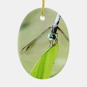 Blue Dragonfly på grönten löv Julgransprydnad Keramik