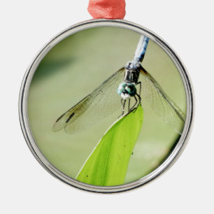 Blue Dragonfly på grönten löv Julgransprydnad Metall