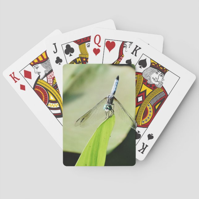 Blue Dragonfly på grönten löv Kortlek (Baksidan)