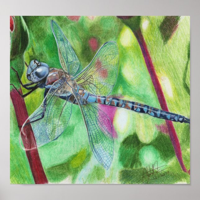 Blue Dragonfly Poster (Framsidan)