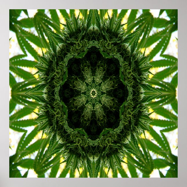 Blue Dream Mandala.. Poster (Framsidan)
