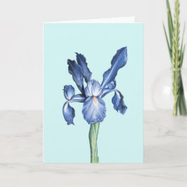 Blue Dutch Iris - Tack Kort