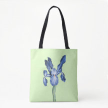 Blue Dutch Iris -