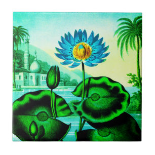 Blue Egyptian Vatten Lily / Lotus Illustration Kakelplatta