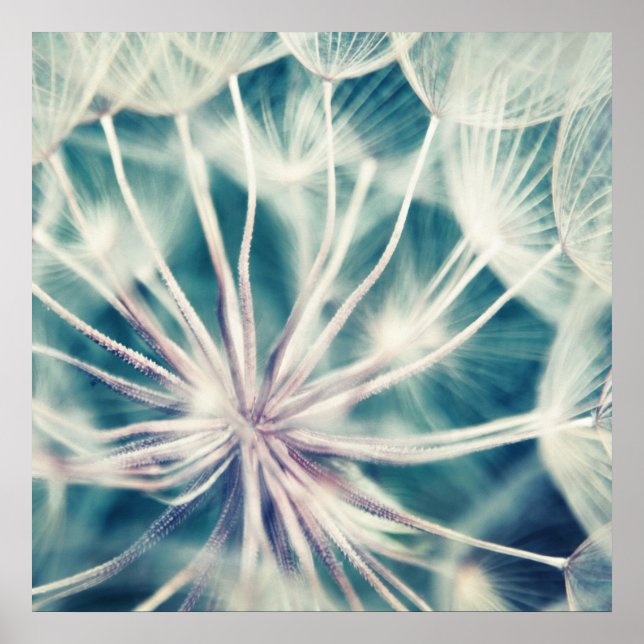 Blue Etheral Dandalion Macro Poster (Framsidan)