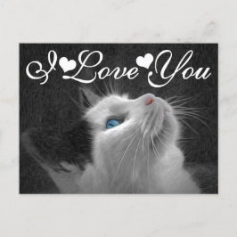 Blue Eyed Cat Photo Image I Kärlek You Vykort