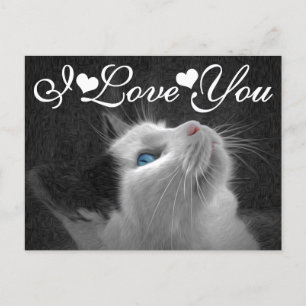 Blue Eyed Cat Photo Image I Kärlek You Vykort