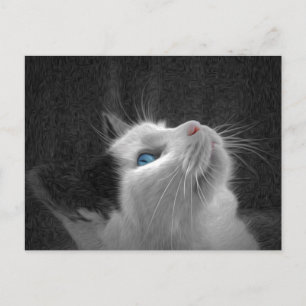 Blue Eyed Cat Photo Vykort