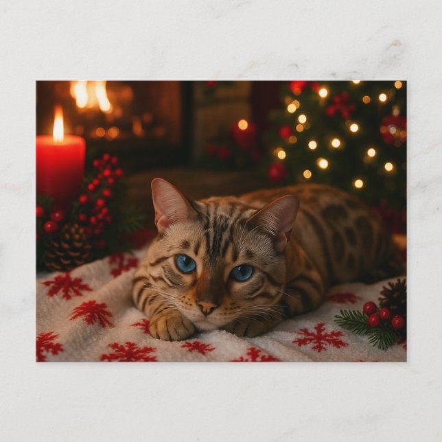 Blue-Eyed Christmas Cat Postcard Cozy Fireplace Vykort (Framsida)
