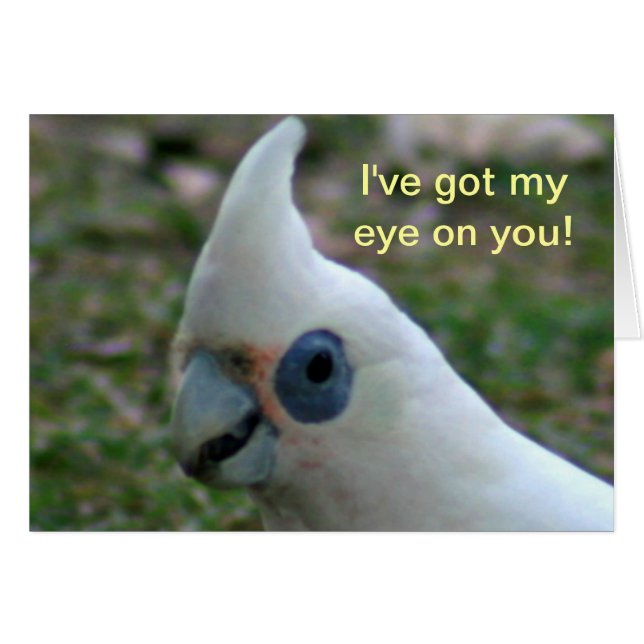 Blue Eyed Cockatoo Hälsningskort (Framsidan Horizontal)