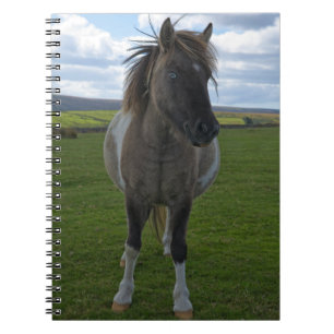 Blue Eyed Dartmoor Pony-spelkort Anteckningsbok
