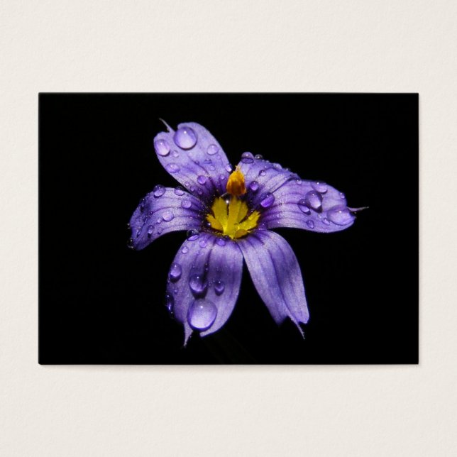 Blue Eyed Grass ~ ATC Visitkort (Framsidan)