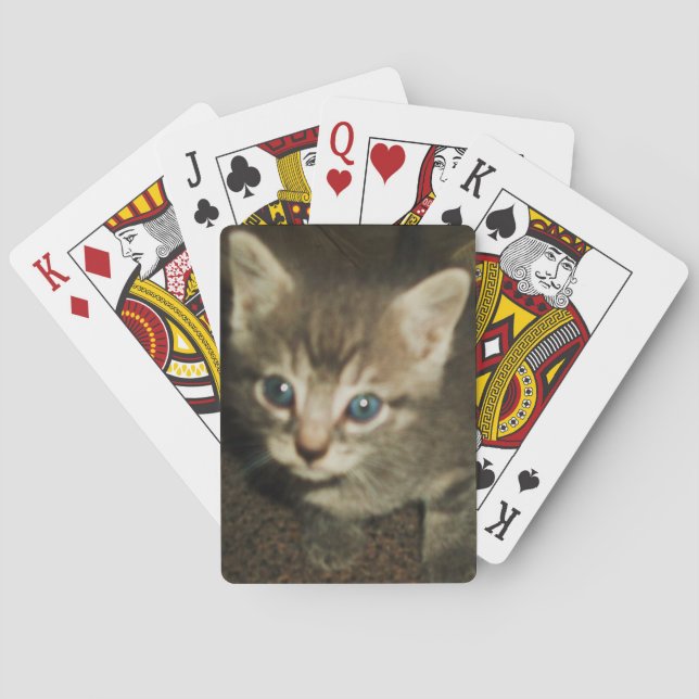 BLUE EYED KATTUNGE-spelkort Casinokort (Baksidan)
