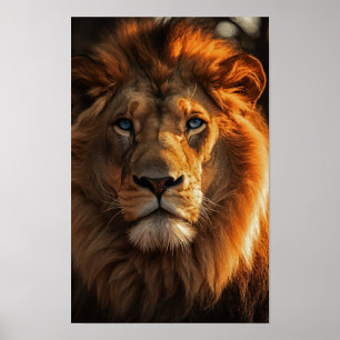 Blue Eyed Lejon Poster